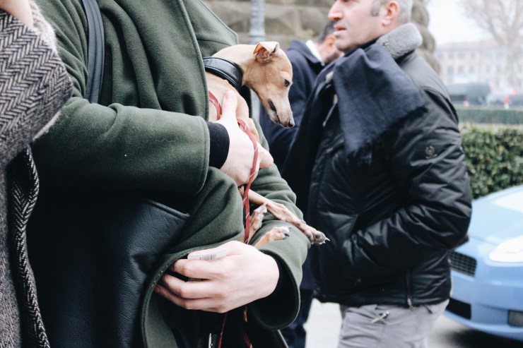 Processed with VSCO with a6 preset