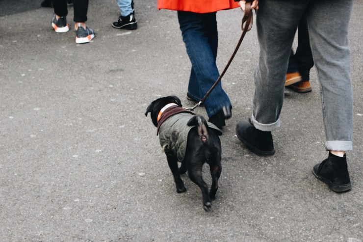 Processed with VSCO with a6 preset