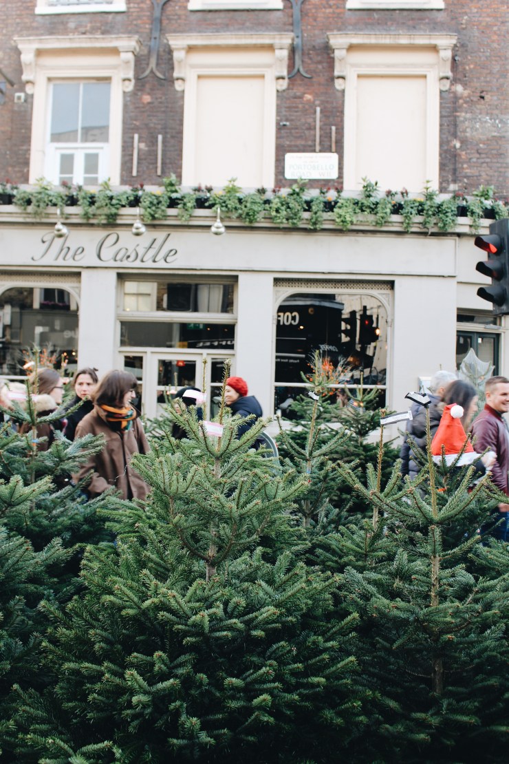 Processed with VSCO with a6 preset