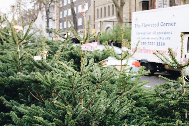 Processed with VSCO with a6 preset