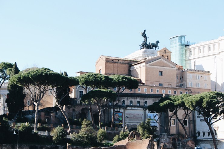 Processed with VSCO with a6 preset