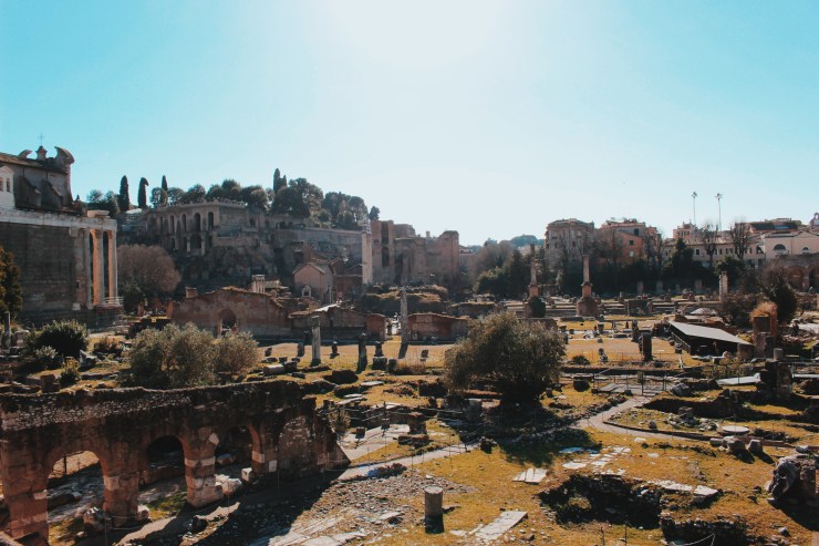 Processed with VSCO with c8 preset