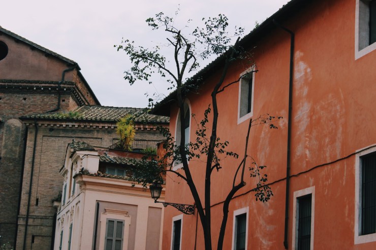 Processed with VSCO with c6 preset