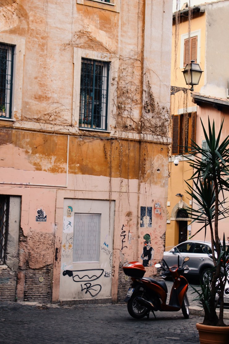 Processed with VSCO with g1 preset