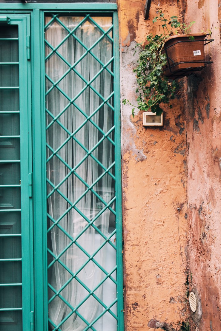 Processed with VSCO with a1 preset