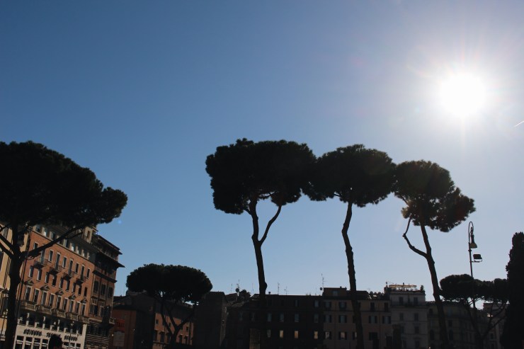 Processed with VSCO with a6 preset