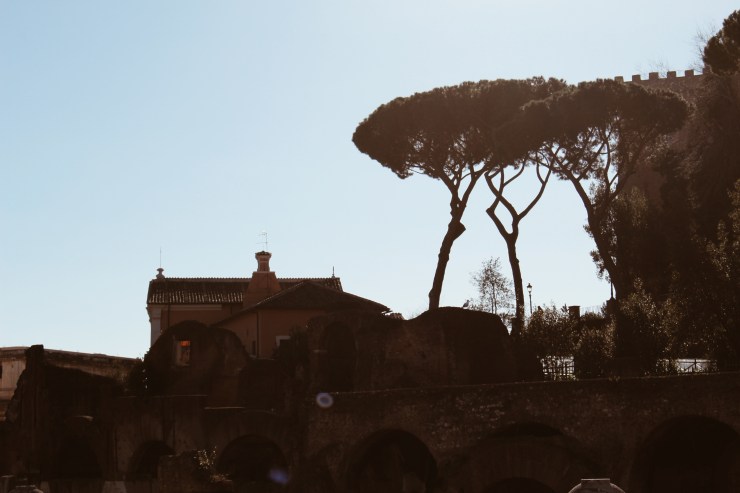 Processed with VSCO with a4 preset