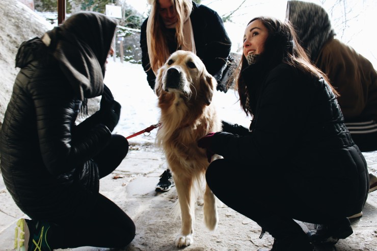 Processed with VSCO with a6 preset