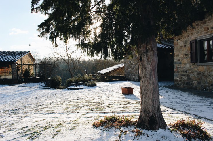 Processed with VSCO with a6 preset