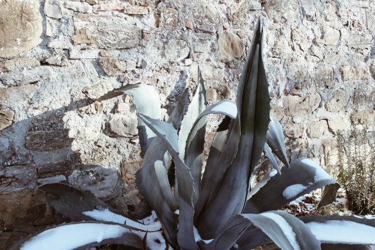 Processed with VSCO with a4 preset