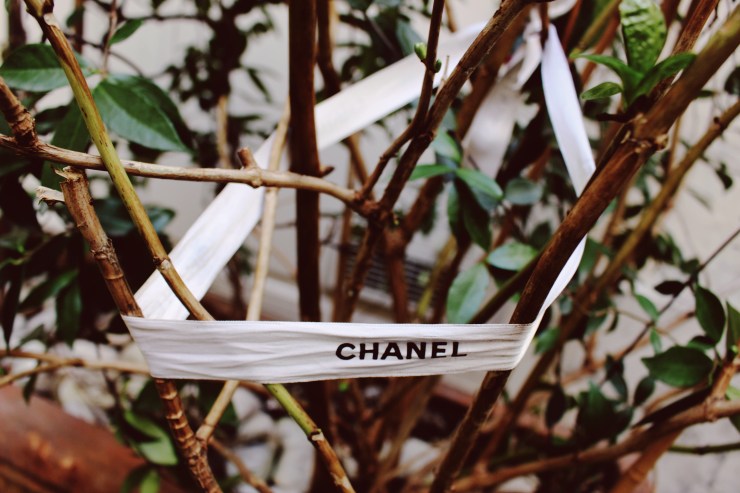 Processed with VSCO with 10 preset