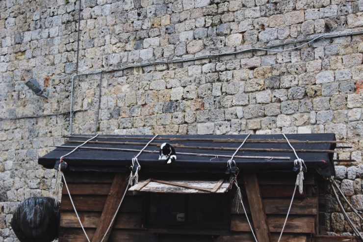 Processed with VSCO with 4 preset