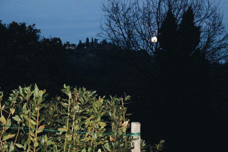 Processed with VSCO with a6 preset