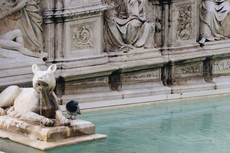 Processed with VSCO with a6 preset