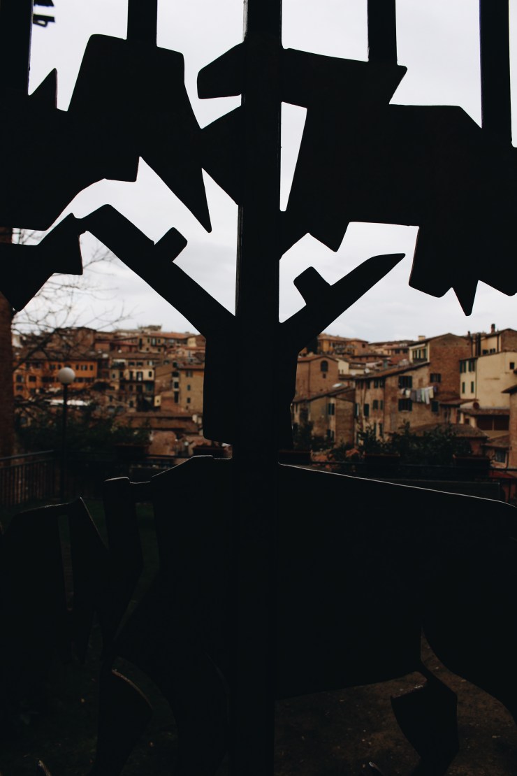 Processed with VSCO with a6 preset