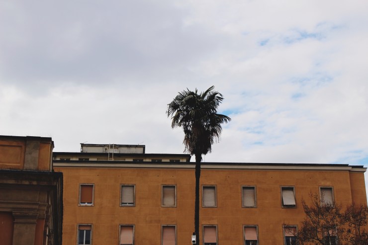 Processed with VSCO with 4 preset