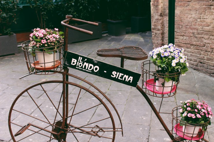 Processed with VSCO with 6 preset