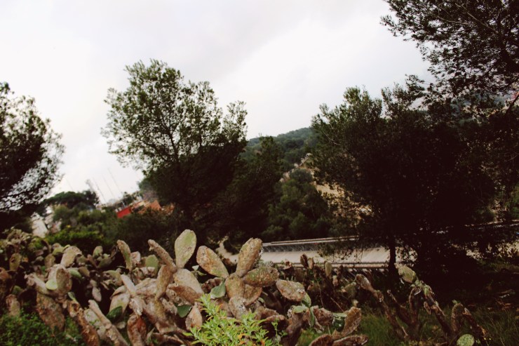 Processed with VSCO with 10 preset