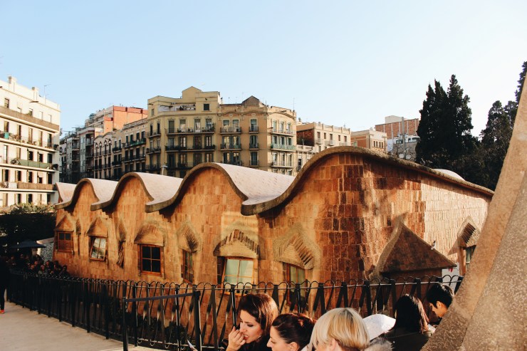 Processed with VSCO with a6 preset