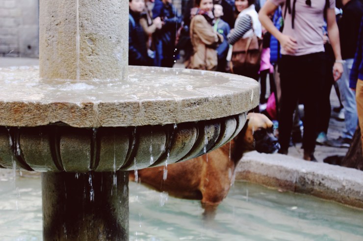 Processed with VSCO with 10 preset