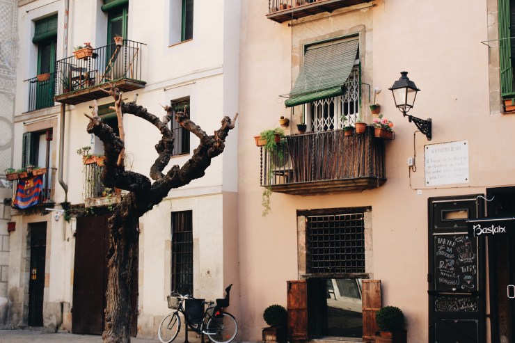 Processed with VSCO with a6 preset