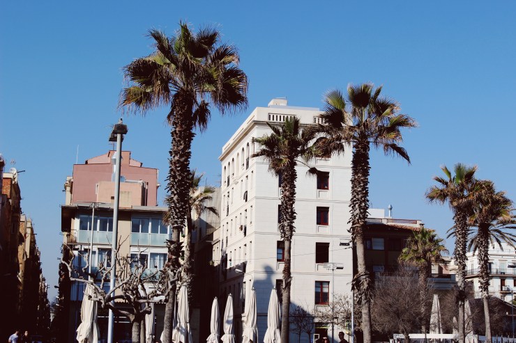 Processed with VSCO with 10 preset