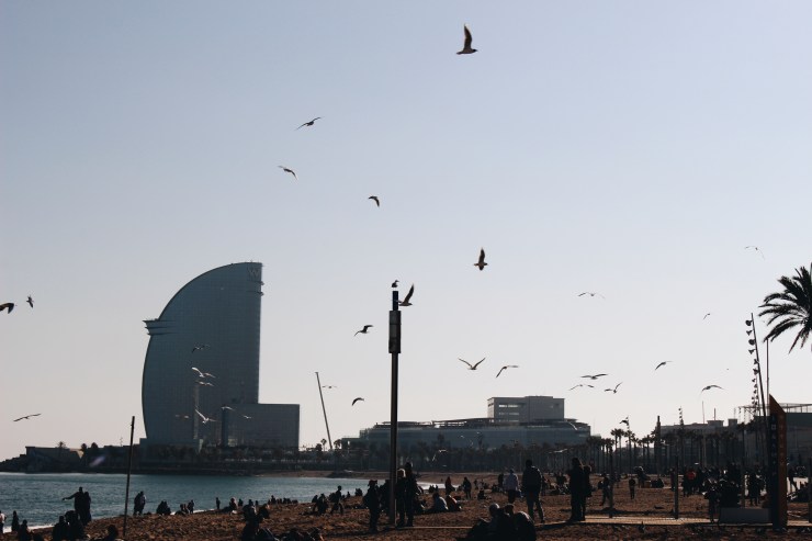 Processed with VSCO with a6 preset