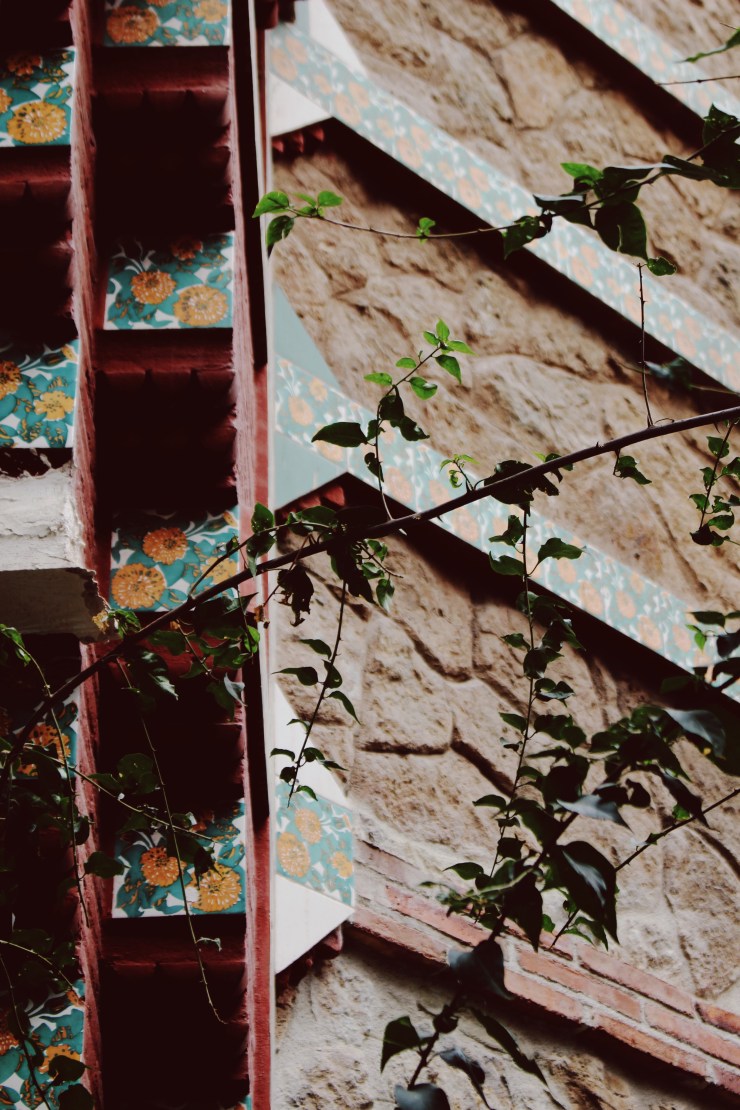 Processed with VSCO with 10 preset