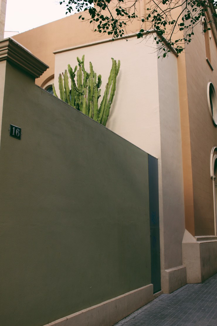 Processed with VSCO with 6 preset