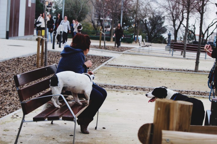 Processed with VSCO with 4 preset