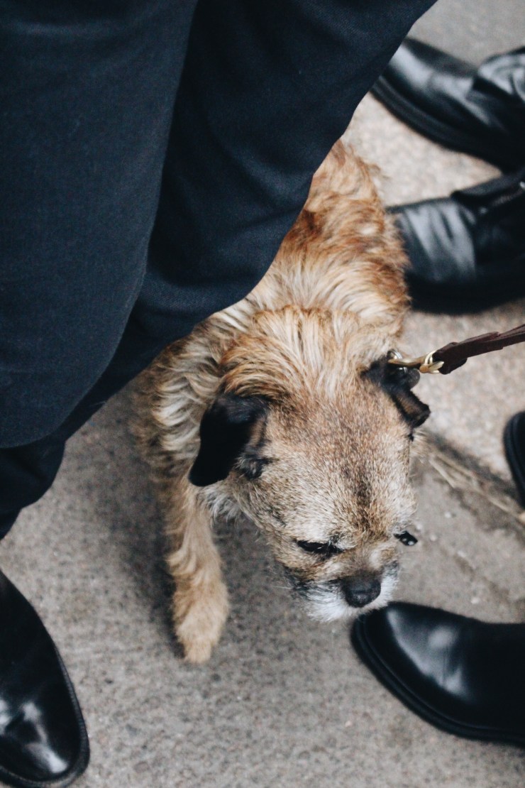 Processed with VSCO with a6 preset