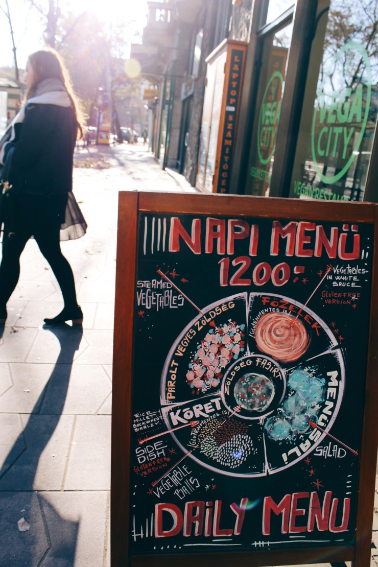 Processed with VSCO with q1 preset