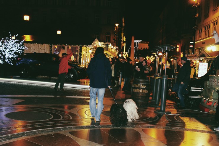 Processed with VSCO with m2 preset