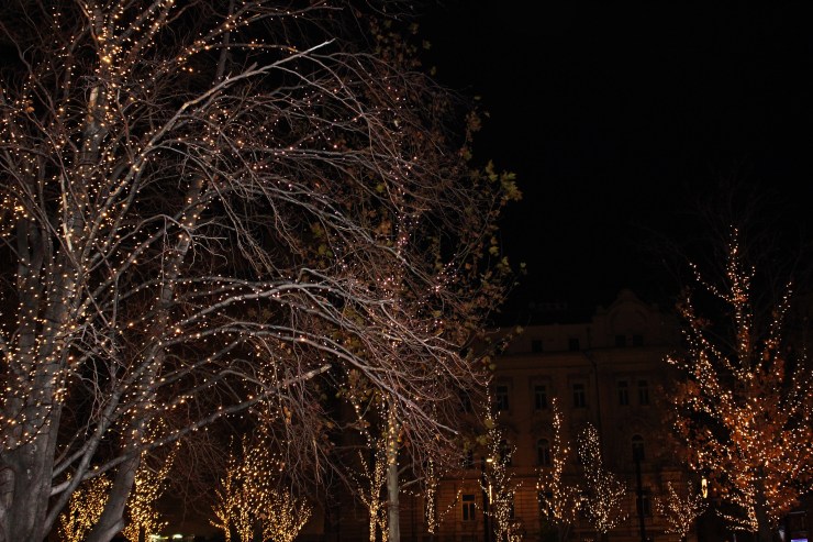 Processed with VSCO with s3 preset