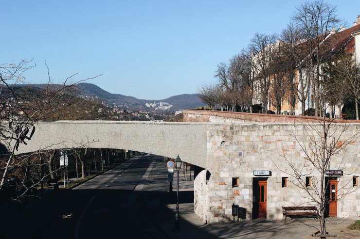 Processed with VSCO with a6 preset