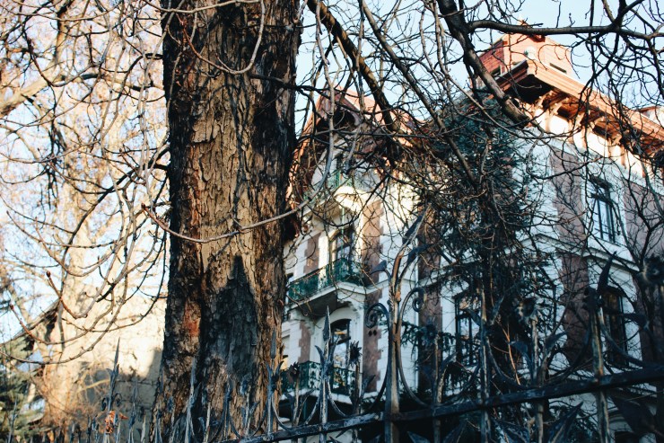 Processed with VSCO with a6 preset