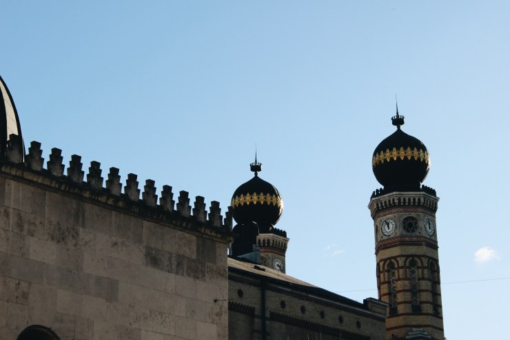 Processed with VSCO with a6 preset