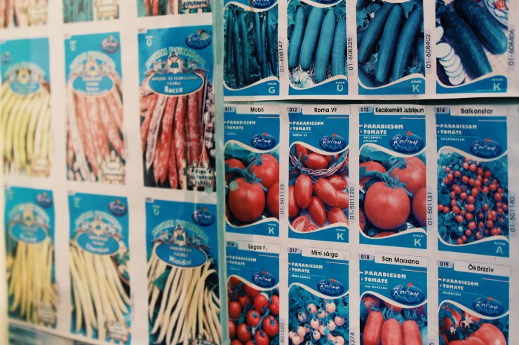 Processed with VSCO with g3 preset