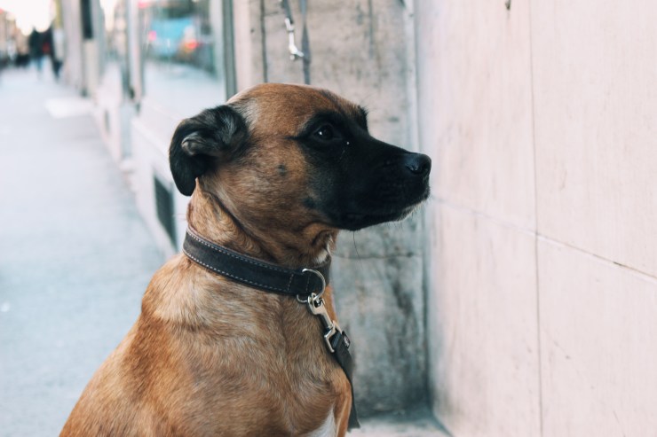 Processed with VSCO with a1 preset