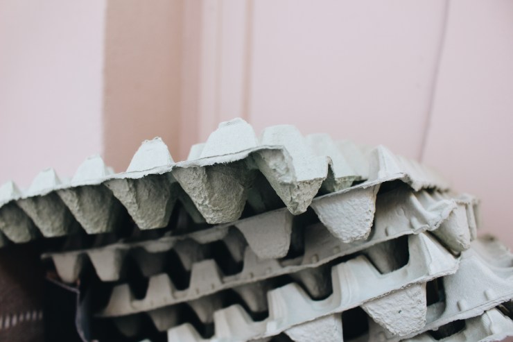 Processed with VSCO with a6 preset