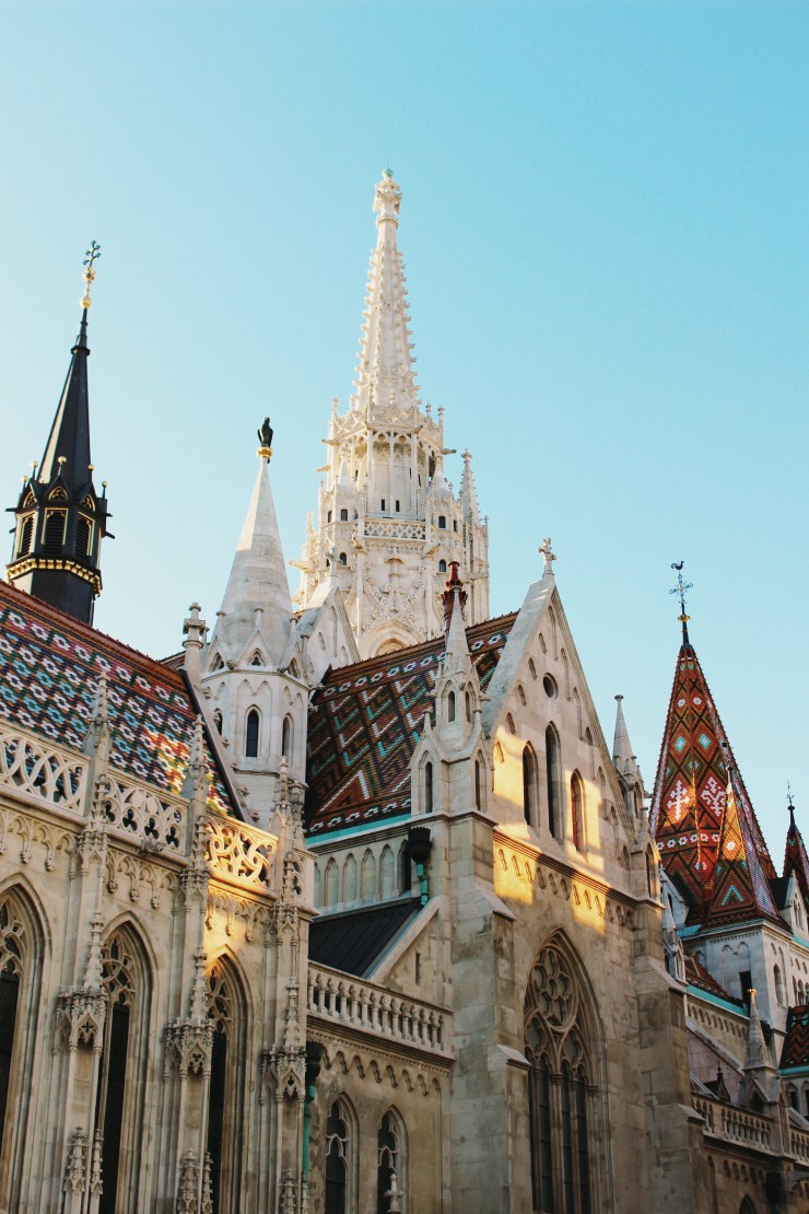 Processed with VSCO with s6 preset