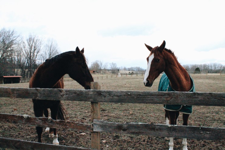 Processed with VSCO with a6 preset